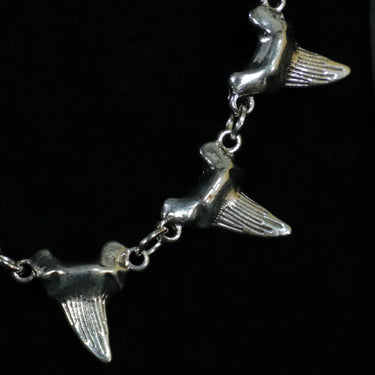 Aquila Necklace · Shark Tooth Alloy Necklace