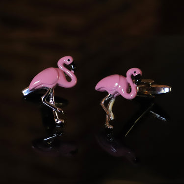Flamencos · gemelos de flamenco rosa - Barlovento de Biar