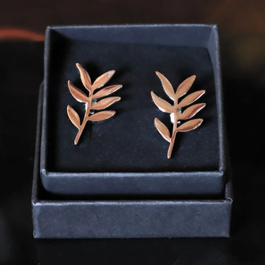 Hojas de olivo · gemelos para olivareros - Barlovento de Biar