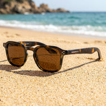 Ambolo · óculos de sol tartaruga marrom