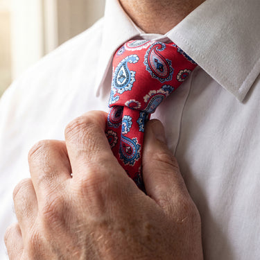 Annecy · corbata con estampado paisley rosa