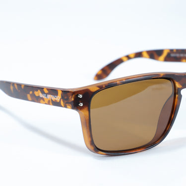 Corralejo · gafas de sol en carey marrón - Barlovento de Biar