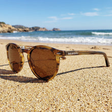Torimbia · gafas de sol redondas de color naranja cristal con lentes marrones