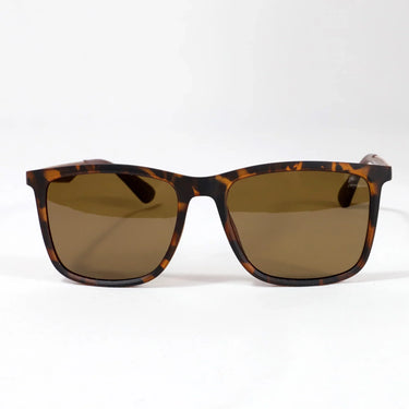 Trabucador · gafas de sol de carey con patillas de color dorado - Barlovento de Biar