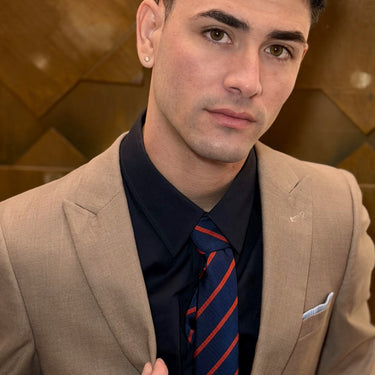 Warwick · corbata de rayas